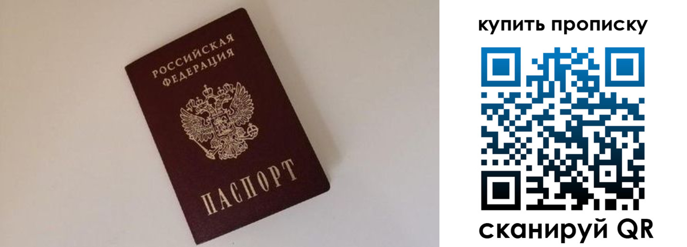 найти адрес прописки в Гвардейске